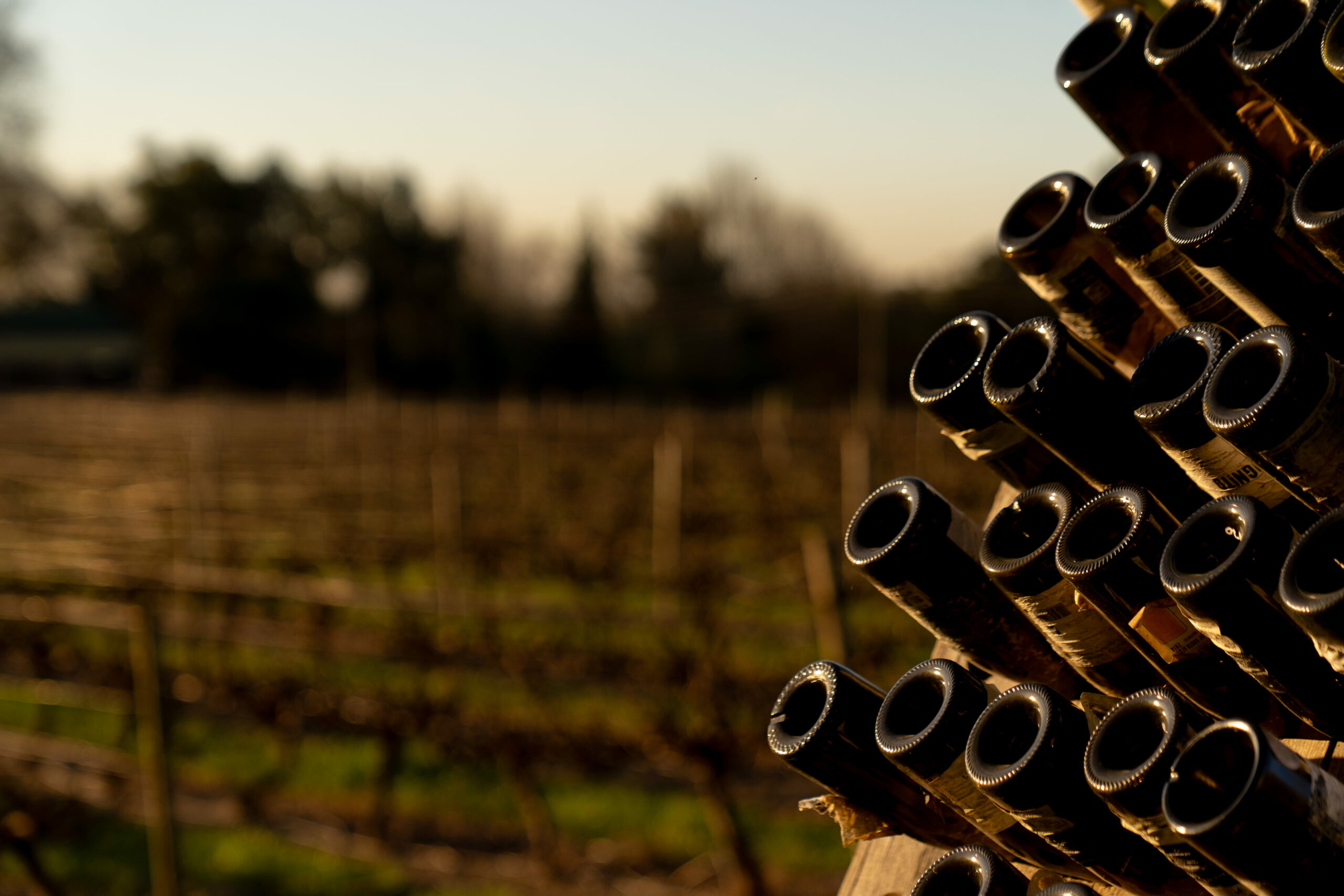 Empyt La Luandière wine bottles in Paarl
